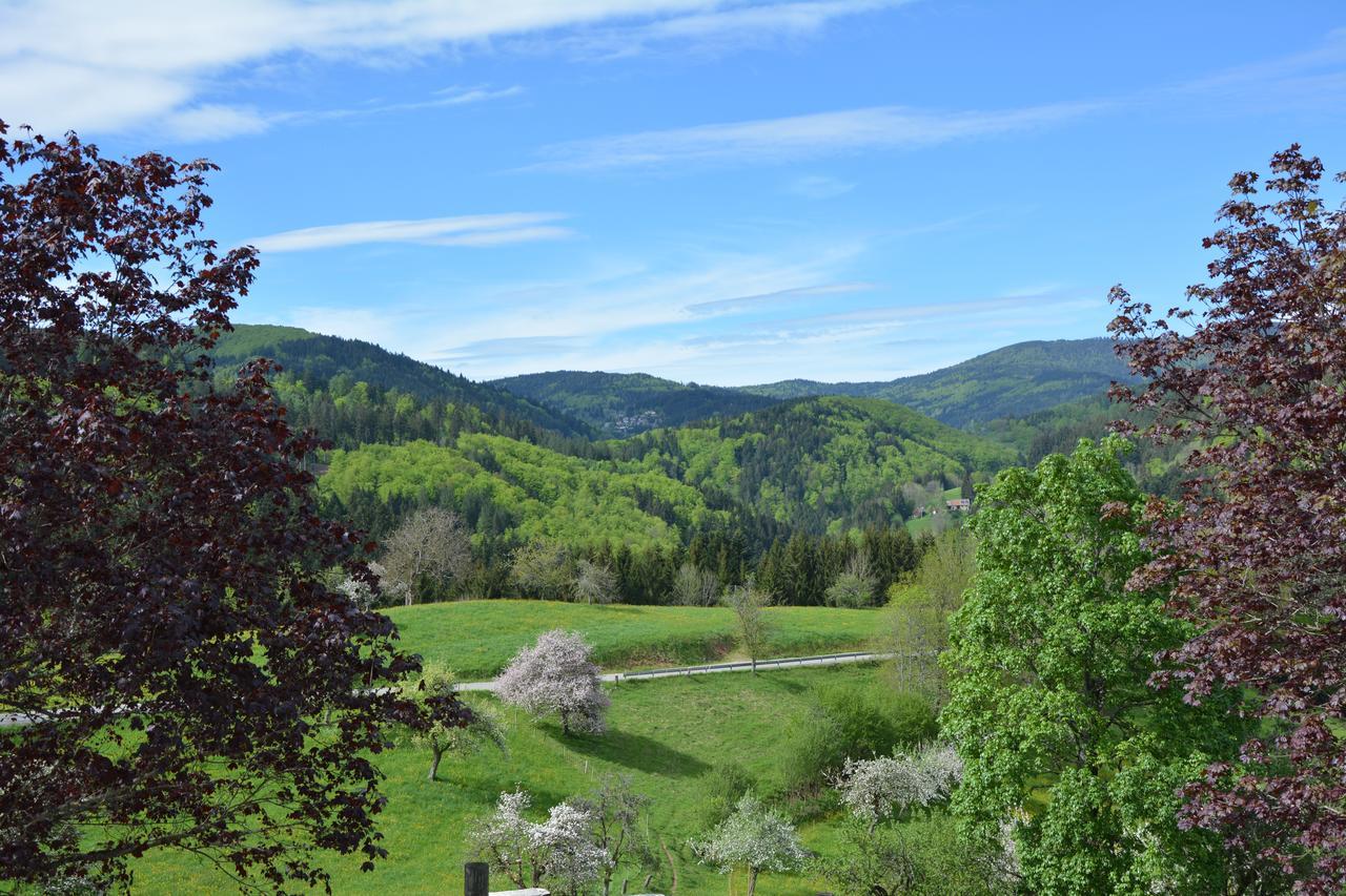 Genusshotel Hirschen - Erholung Im Gruenen Sallneck ภายนอก รูปภาพ